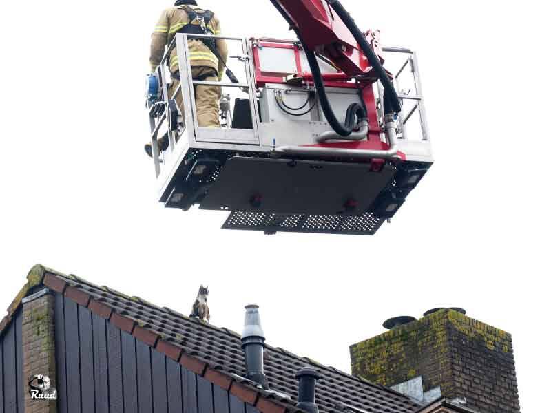 Hoogwerker van de brandweer bij het dak om de kat er af te halen