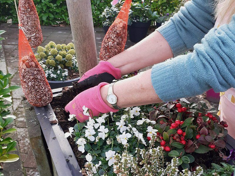 Coloriet doet mee aan NLdoet 