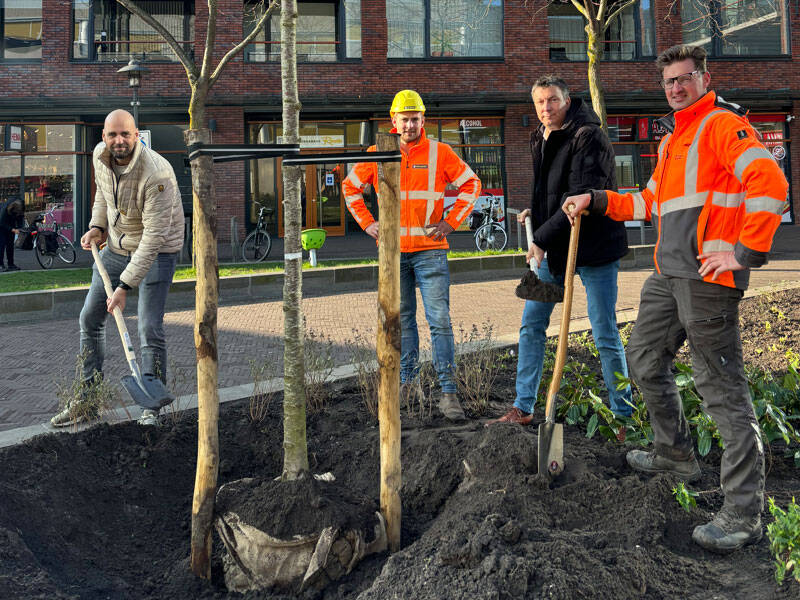 Laatste beplanting geplaatst in project herinrichting centrumcarré