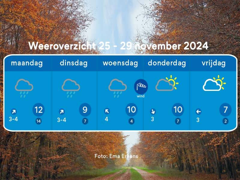 Weeroverzicht tot en met vrijdag met een mooie laan in een herfstbos op de achtergrond