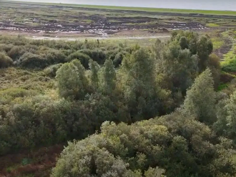 Natuurgebied Harderbroek wordt onderhouden