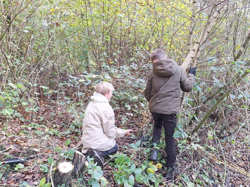 2 kinderen in het bos