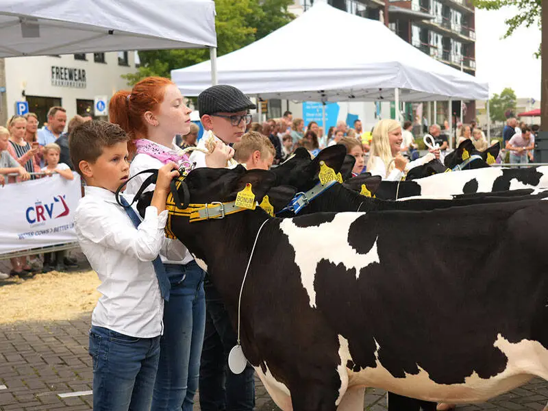 kinderen die hun pink showen aan het publiek