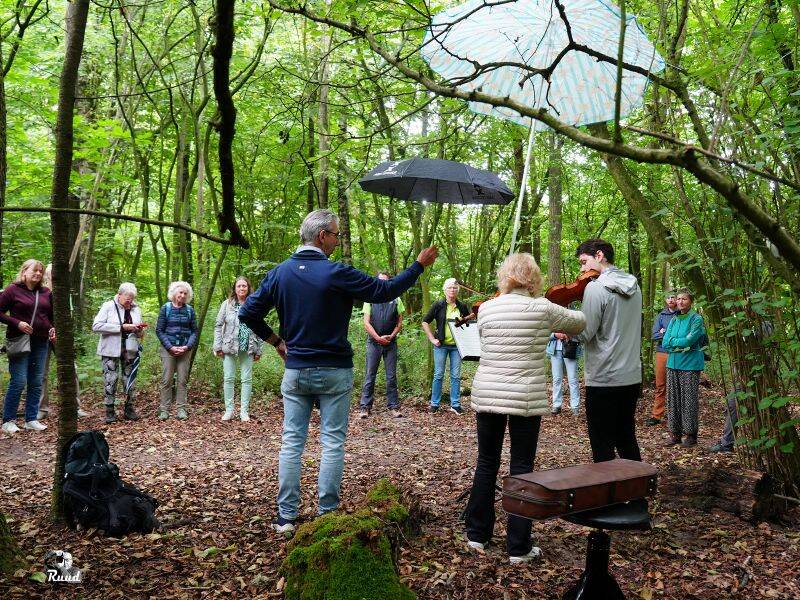 Een muzikale wandeling door het Horsterwold