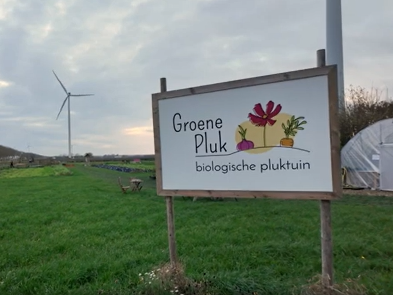 Pluktuin Groene Pluk: lokaal voedsel rechtstreeks van het land