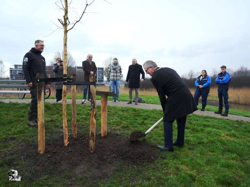 De zevenzonenboom van burgemeester Gorter