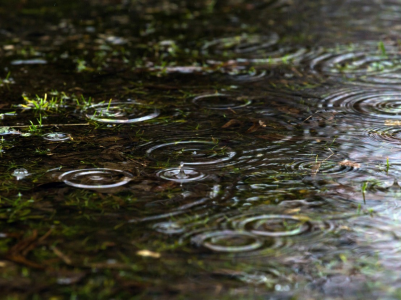 Workshop regenwater afkoppelen door Energieloket