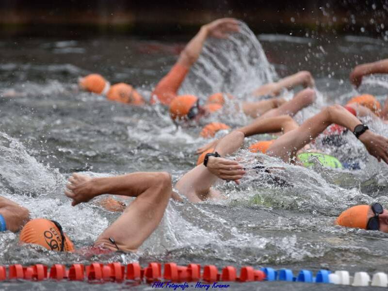 Zwemmers met de borstcrawl en oranje badmutsen
