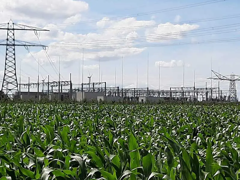 Elektriciteitsnet Zeewolde onder druk 