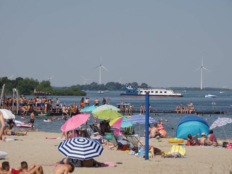 Nationaal Hitteplan actief: Zeewolde waarschuwt voor risico’s voor mens, dier en natuur